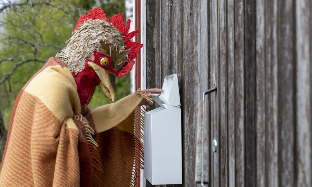 The Chicken wrapped in a blanket, opening the mailbox.